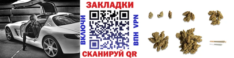 Псилоцибиновые грибы Соль-Илецк