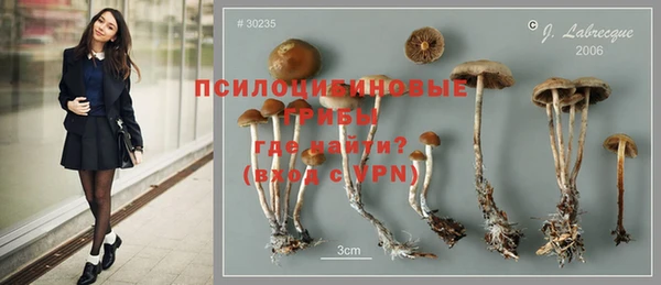 ALPHA-PVP Арсеньев