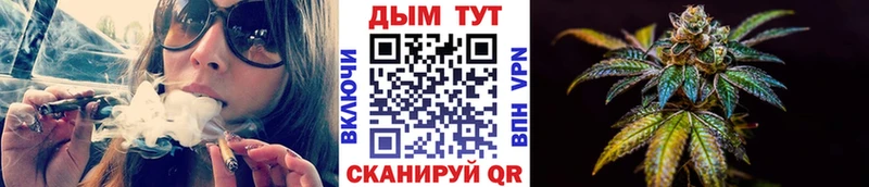 Конопля сатива  Соль-Илецк 